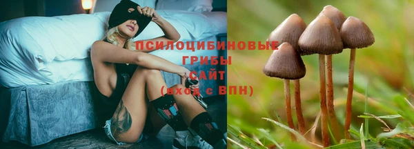тгк Богородск