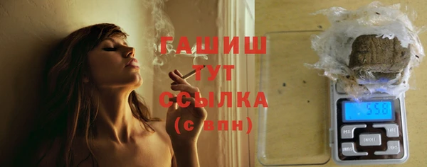 спиды Богородицк