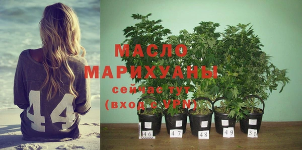 спиды Богородицк
