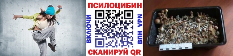 Галлюциногенные грибы ЛСД  Кондрово 
